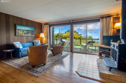 594 Hapapa Rd, Kula, HI 96790 photo 12