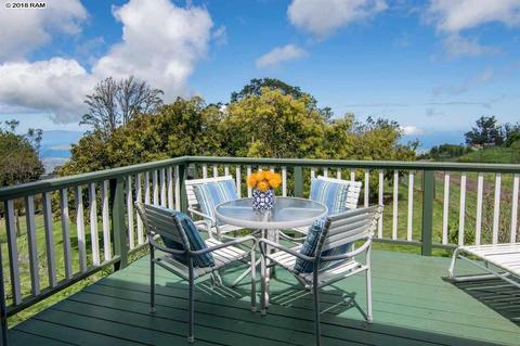 594 Hapapa Rd, Kula, HI 96790 photo 5
