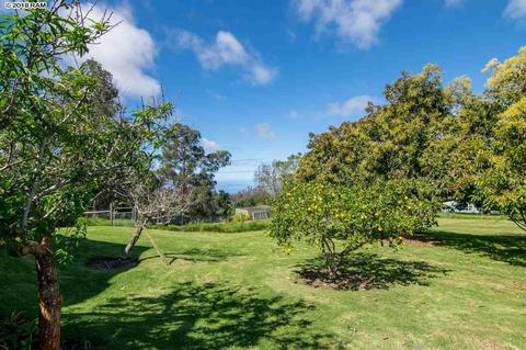 594 Hapapa Rd, Kula, HI 96790 photo 25