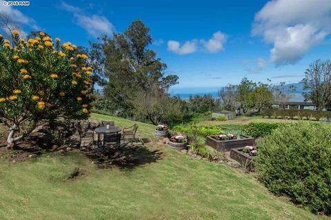 594 Hapapa Rd, Kula, HI 96790 photo 23