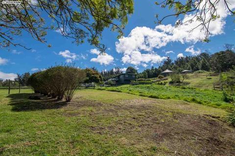 594 Hapapa Rd, Kula, HI 96790 photo 4
