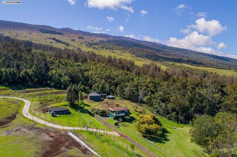 594 Hapapa Rd, Kula, HI 96790 photo 9