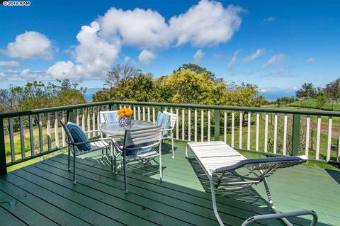 594 Hapapa Rd, Kula, HI 96790 photo 13