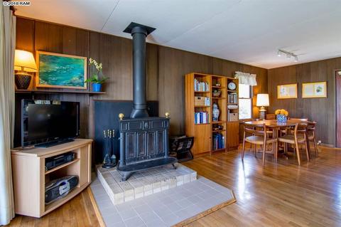 594 Hapapa Rd, Kula, HI 96790 photo 15