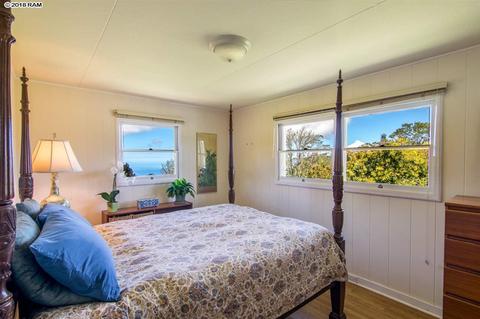 594 Hapapa Rd, Kula, HI 96790 photo 18