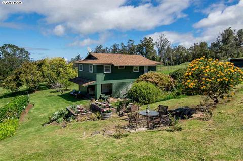 594 Hapapa Rd, Kula, HI 96790 photo 22