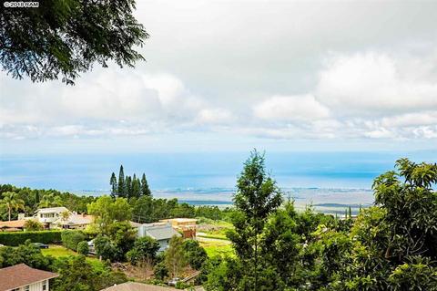 1568 Lower Kimo Dr, Kula, HI 96790 photo 21