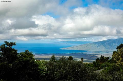 1568 Lower Kimo Dr, Kula, HI 96790 photo 2