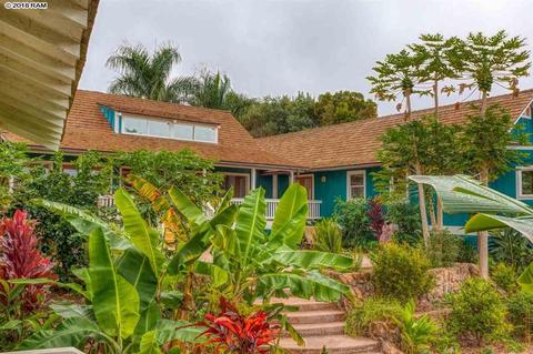 68 Ka Dr, Kula, HI 96790 photo 23