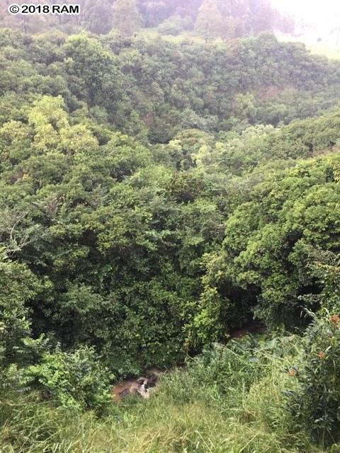 245 Kane Rd, Haiku, HI 96708 photo 14