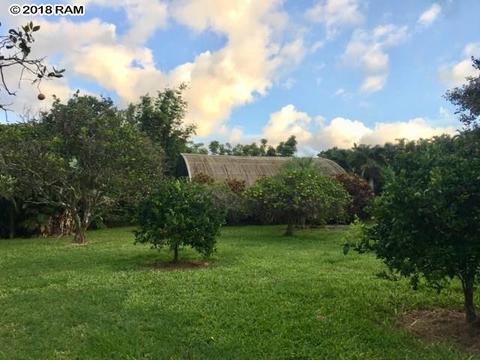 245 Kane Rd, Haiku, HI 96708 photo 22