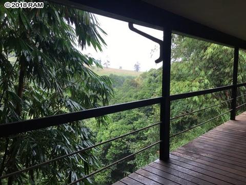 245 Kane Rd, Haiku, HI 96708 photo 13