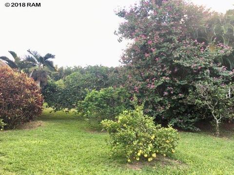 245 Kane Rd, Haiku, HI 96708 photo 21