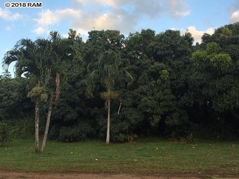 245 Kane Rd, Haiku, HI 96708 photo 19