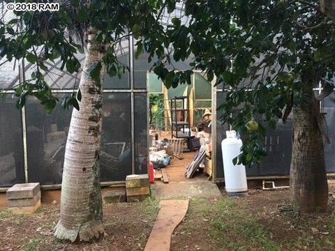 245 Kane Rd, Haiku, HI 96708 photo 18