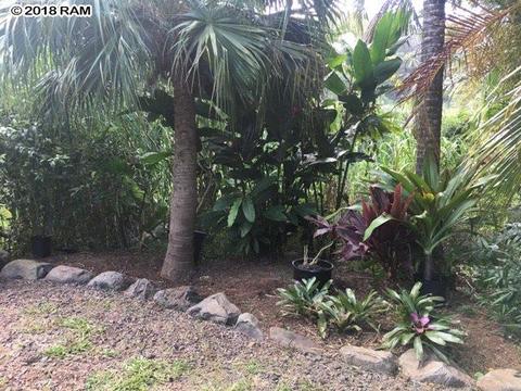 245 Kane Rd, Haiku, HI 96708 photo 5