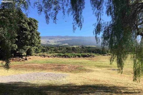 207 Holopuni Rd, Kula, HI 96790 photo 24