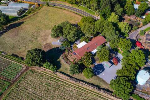 207 Holopuni Rd, Kula, HI 96790 photo 26