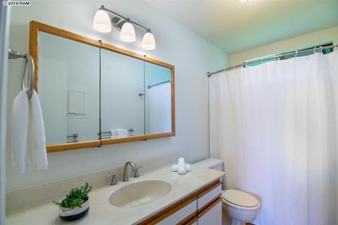207 Holopuni Rd, Kula, HI 96790 photo 16