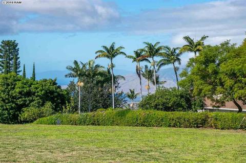 207 Holopuni Rd, Kula, HI 96790 photo 25