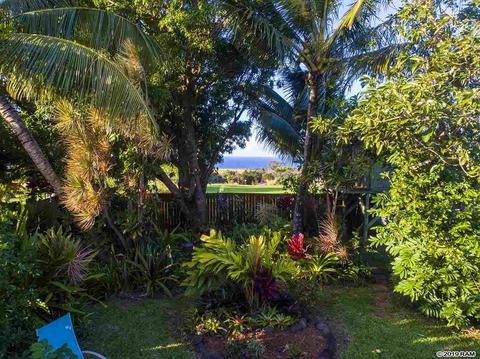 2935 E Lelehuna Pl, Haiku, HI 96708 photo 2