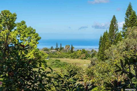 890 Holopuni Rd, Kula, HI 96790 photo 1