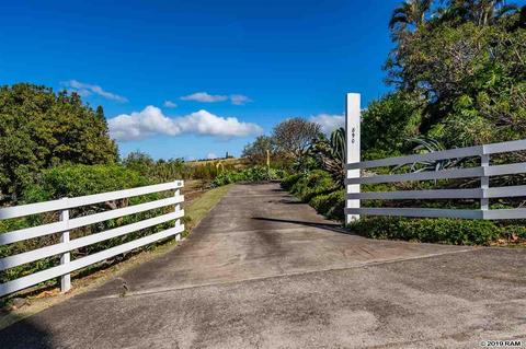 890 Holopuni Rd, Kula, HI 96790 photo 7