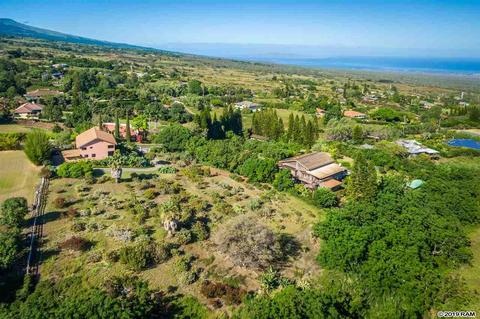 890 Holopuni Rd, Kula, HI 96790 photo 26
