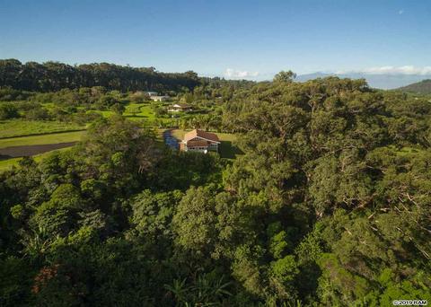 53 Awalau Rd, Haiku, HI 96708 photo 27