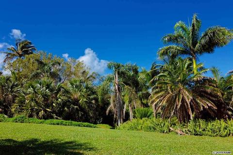 245 N Honokala Rd, Haiku, HI 96708 photo 16