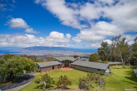 545 Hapapa Rd, Kula, HI 96790 photo 13
