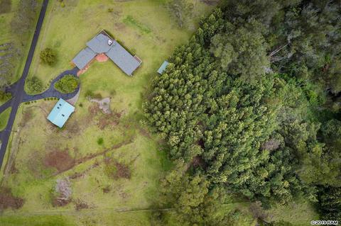 545 Hapapa Rd, Kula, HI 96790 photo 12
