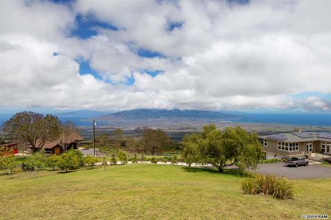 545 Hapapa Rd, Kula, HI 96790 photo 10