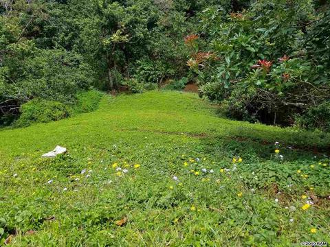 2165 Apala Pl, Haiku, HI 96708 photo 29