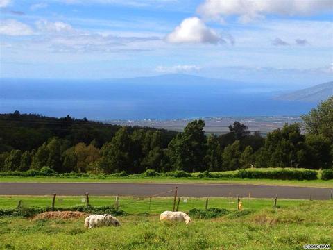 37 Middle Rd, Kula, HI 96790 photo 4