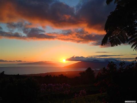 37 Middle Rd, Kula, HI 96790 photo 1