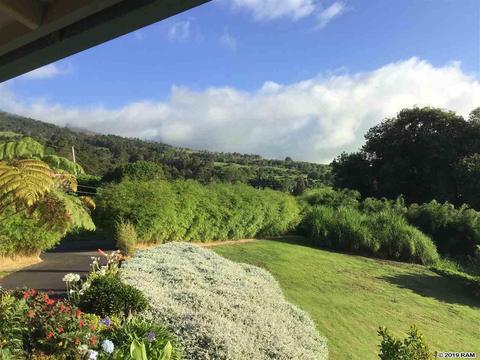 37 Middle Rd, Kula, HI 96790 photo 19