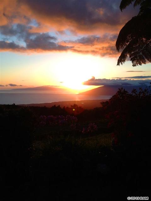 37 Middle Rd, Kula, HI 96790 photo 23
