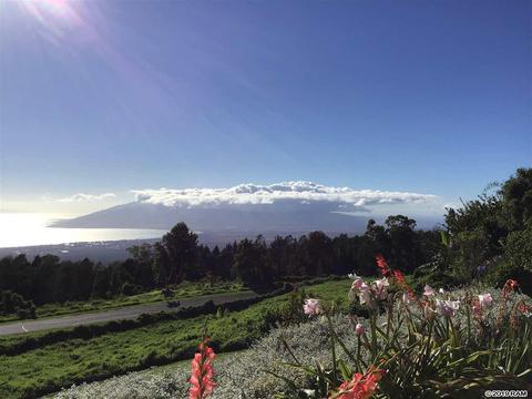 37 Middle Rd, Kula, HI 96790 photo 5