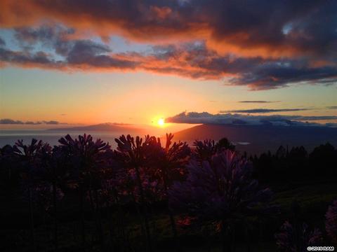 37 Middle Rd, Kula, HI 96790 photo 25