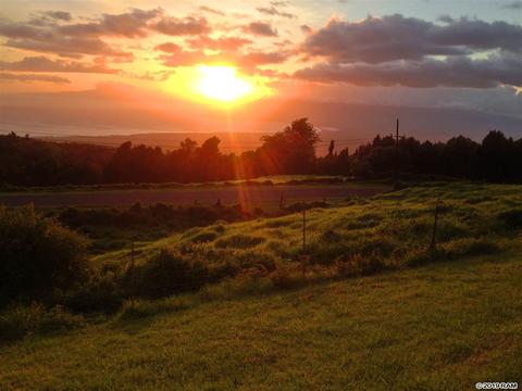 37 Middle Rd, Kula, HI 96790 photo 24