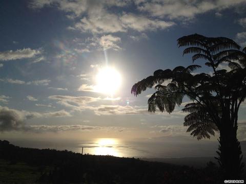 37 Middle Rd, Kula, HI 96790 photo 26