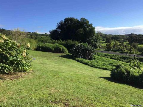 37 Middle Rd, Kula, HI 96790 photo 21