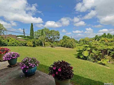 1009 Lower Kimo Dr, Kula, HI 96790 photo 25