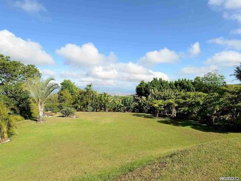 1009 Lower Kimo Dr, Kula, HI 96790 photo 3