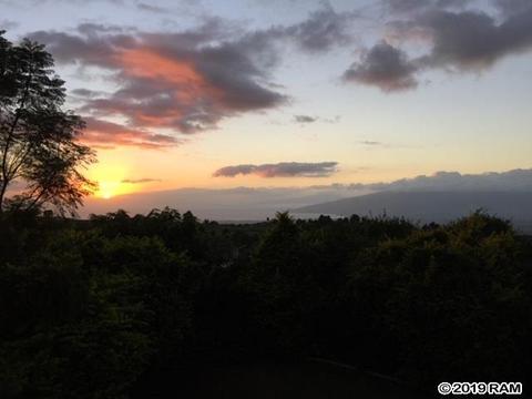 22 Uau Pl, Kula, HI 96790 photo 27