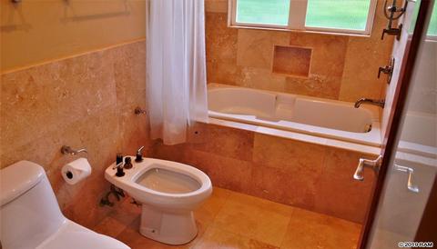 22 Uau Pl, Kula, HI 96790 photo 22