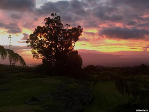 980 Polipoli Rd, Kula, HI 96790 photo 22