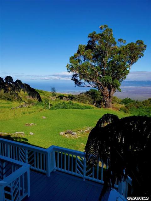 980 Polipoli Rd, Kula, HI 96790 photo 6