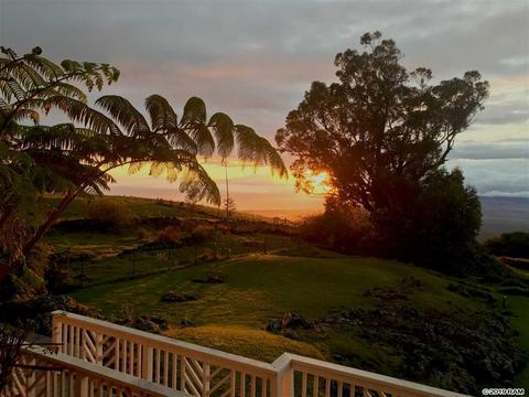 980 Polipoli Rd, Kula, HI 96790 photo 4
